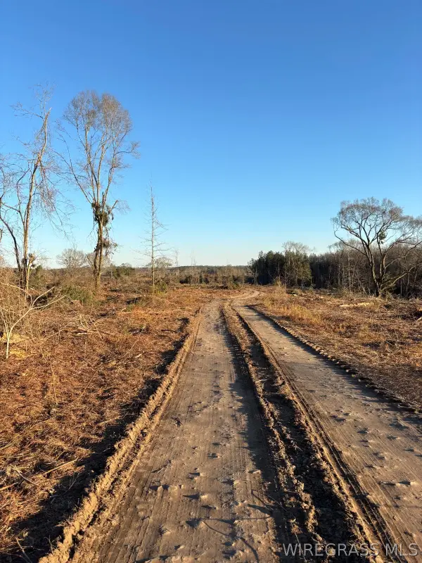 0 County Road 31, Clayton, AL 36016