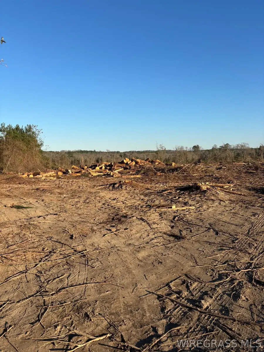 0 County Road 31, Clayton, AL 36016 - #2