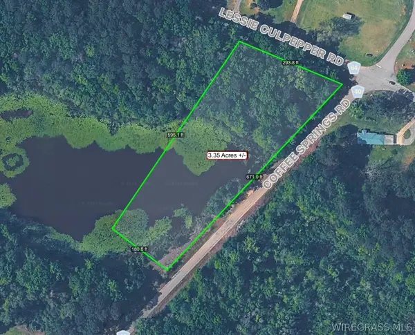 415 Lessie Culpepper Road, Coffee Springs, AL 36318