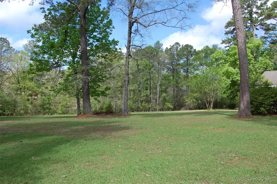 16367 Bernard Stewart Road, Andalusia, AL 36421 - #2