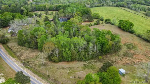 16060 Old School Road #Land, Opp, AL 36467