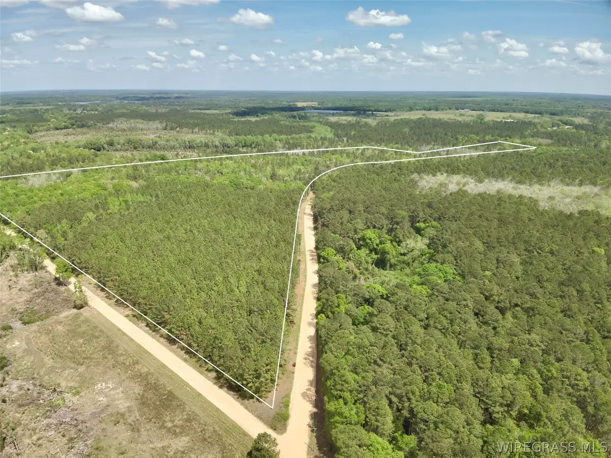 73 acres Millville Road, Hartford, AL 36344 - #1