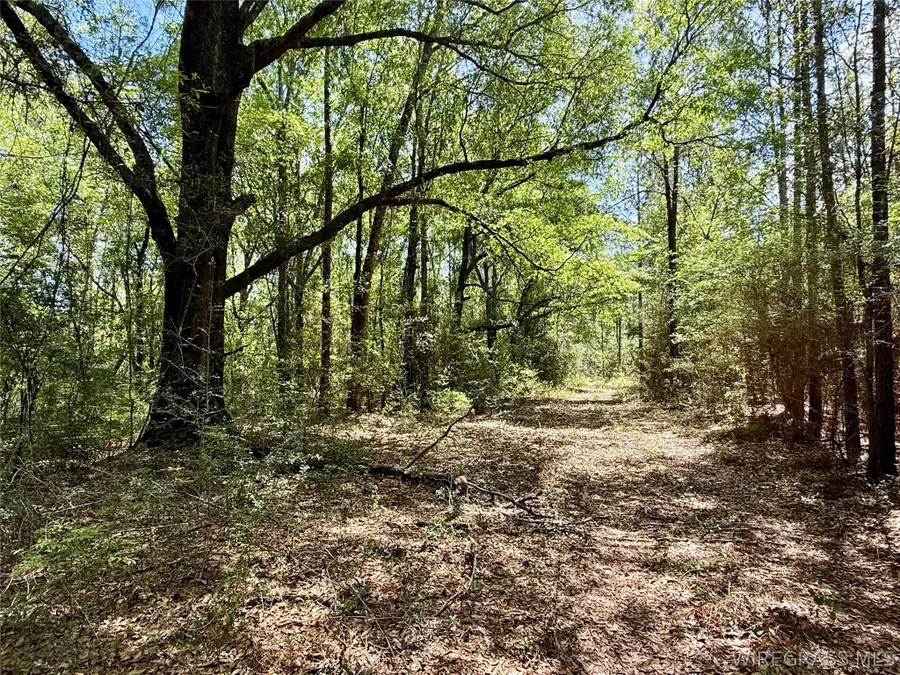 73 acres Millville Road, Hartford, AL 36344 - #2
