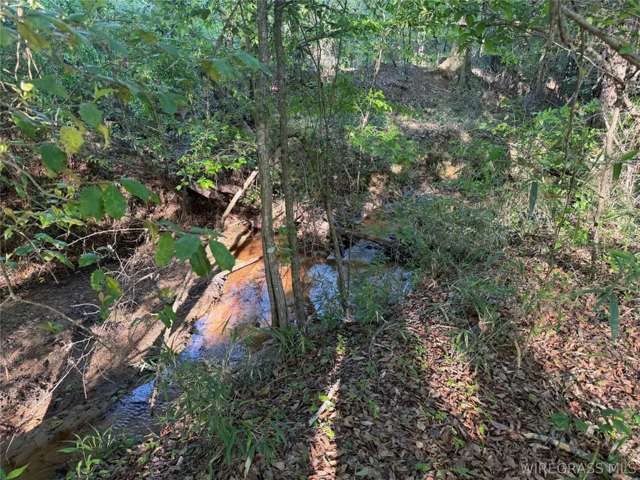 0 Leon Tower Road, Dozier, AL 36028 - #2
