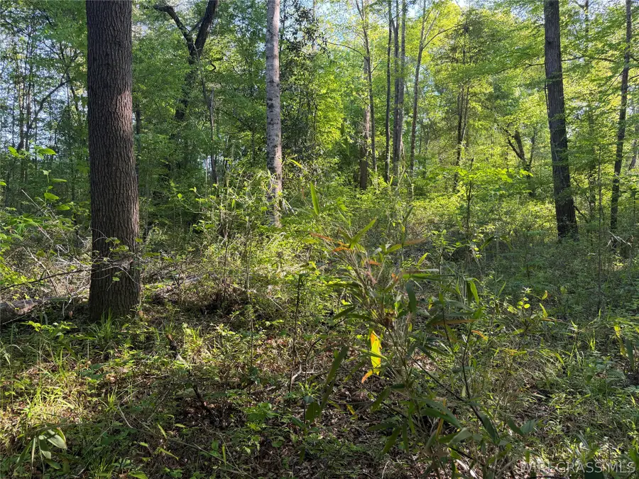 0 Leon Tower Road, Dozier, AL 36028 - #3