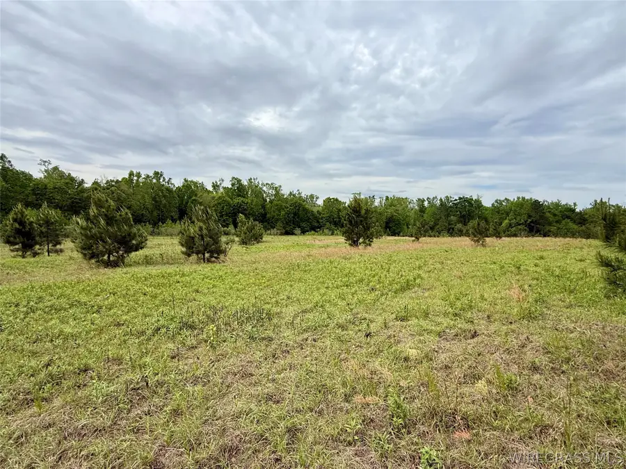 50 Acres Dillard Road, Pansey, AL 36370 - #2
