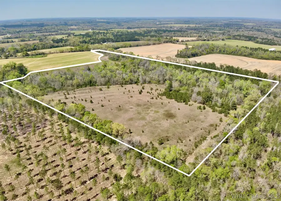 50 Acres Dillard Road, Pansey, AL 36370 - #3