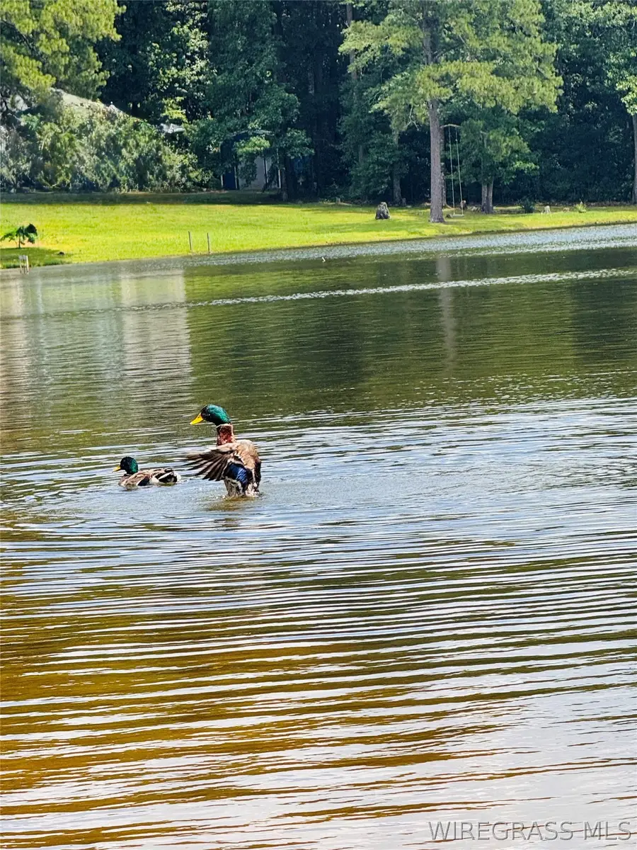 102 & 104 High Bluff Drive, Enterprise, AL 36330 - #2