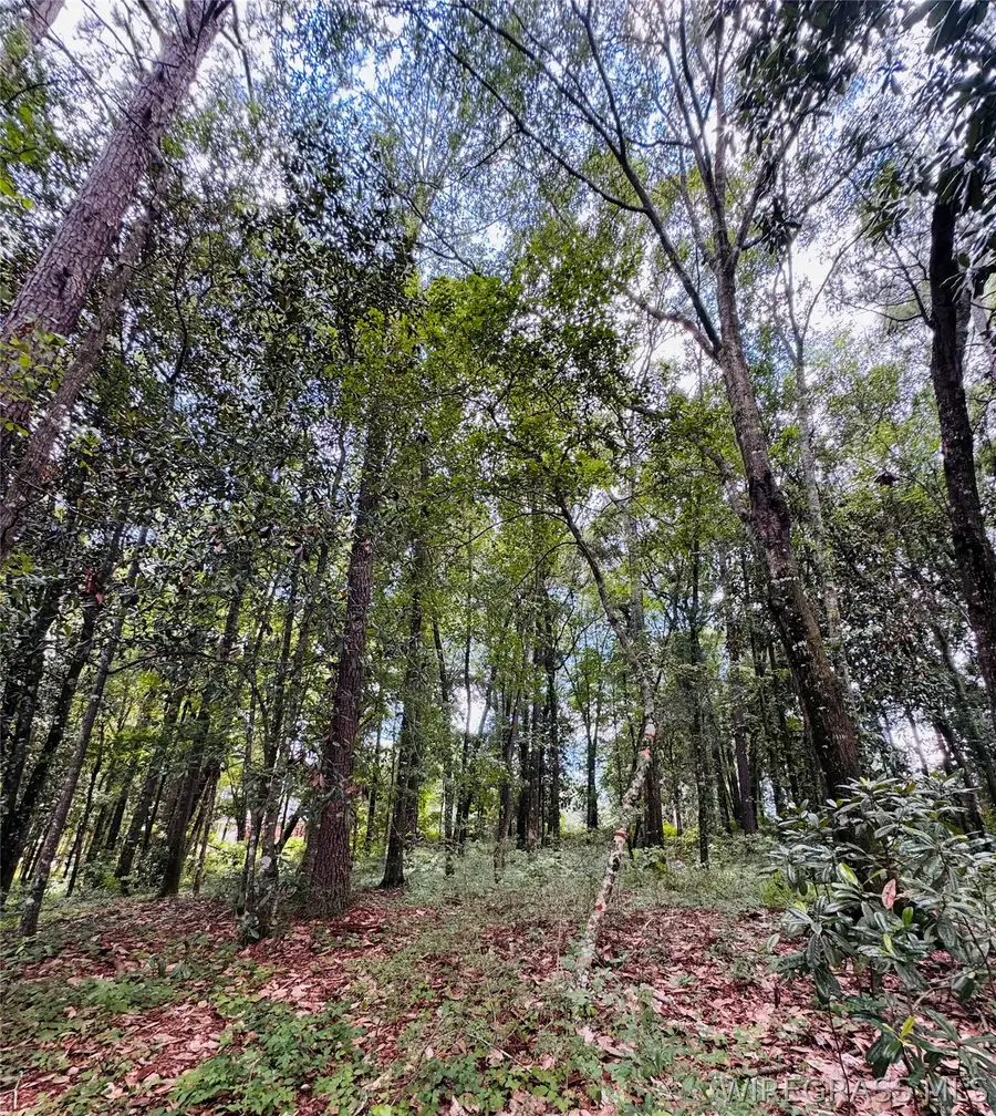 102 & 104 High Bluff Drive, Enterprise, AL 36330 - #3