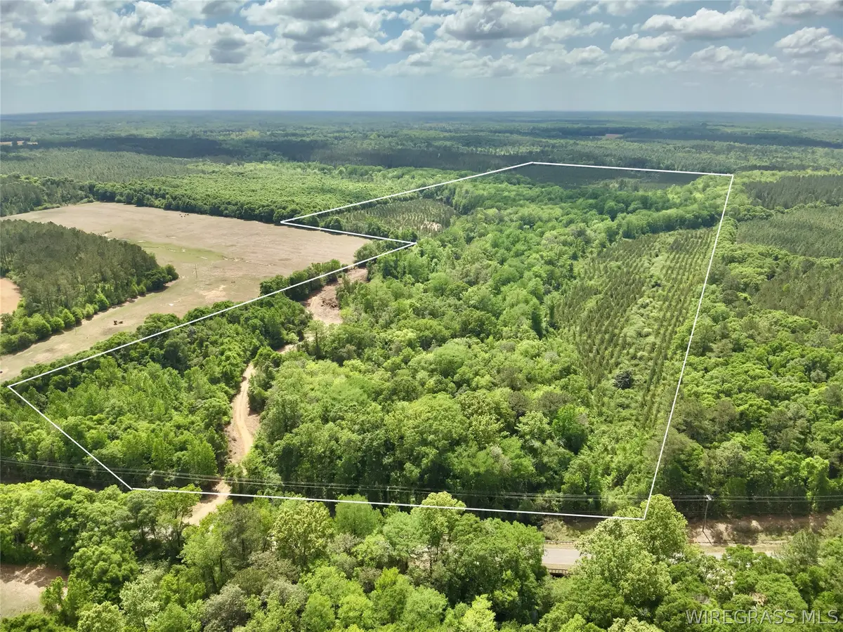 105 Acres County Road 16, Hartford, AL 36344 - #1