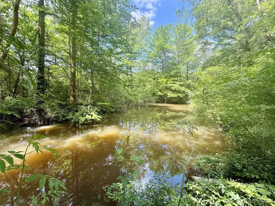 105 Acres County Road 16, Hartford, AL 36344 - #2