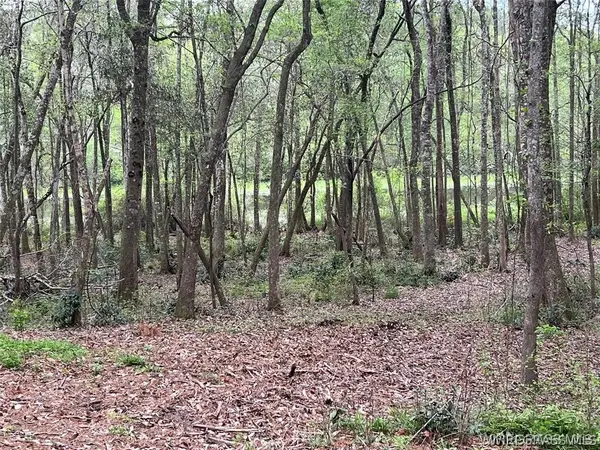 000 Driftwood Lane, Andalusia, AL 36421