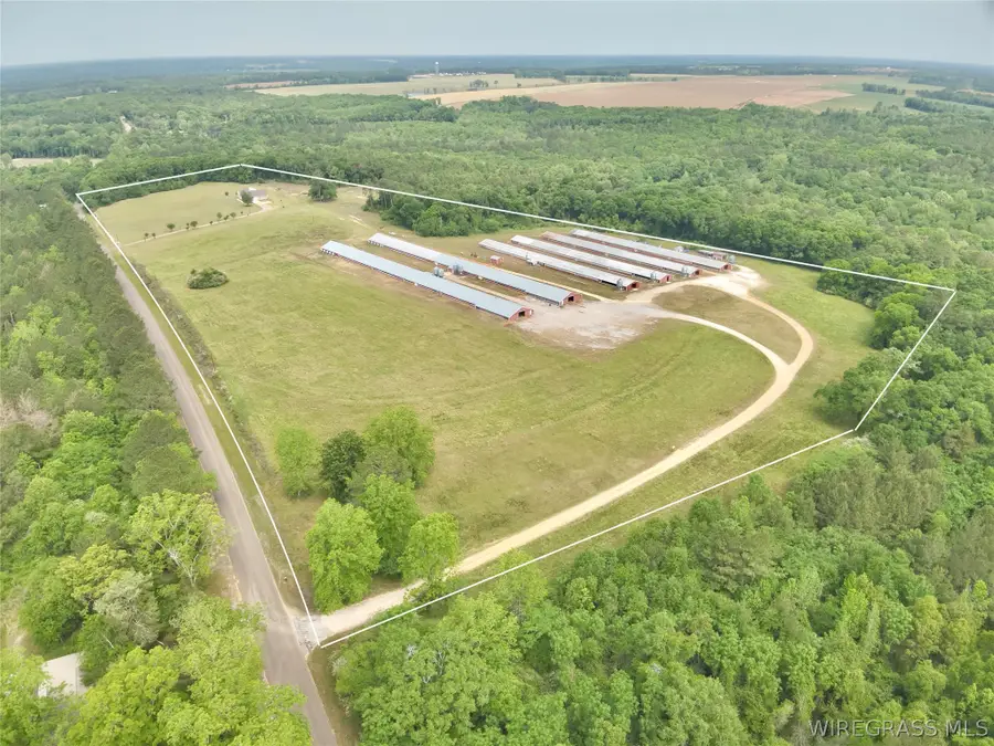 2065 County Road 6 Road, Black, AL 36314 - #2