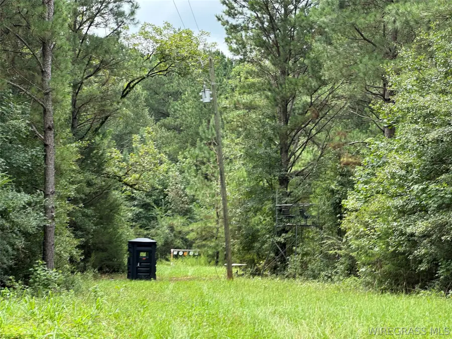 000 Highway 105 Highway, Skipperville, AL 36360 - #2