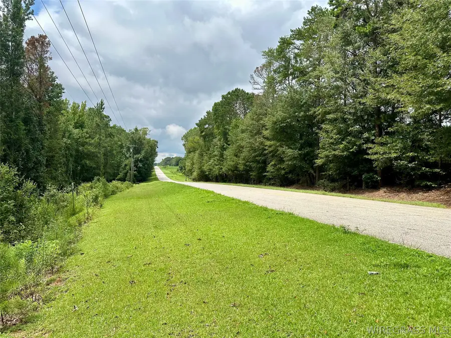 000 Highway 105 Highway, Skipperville, AL 36360 - #3