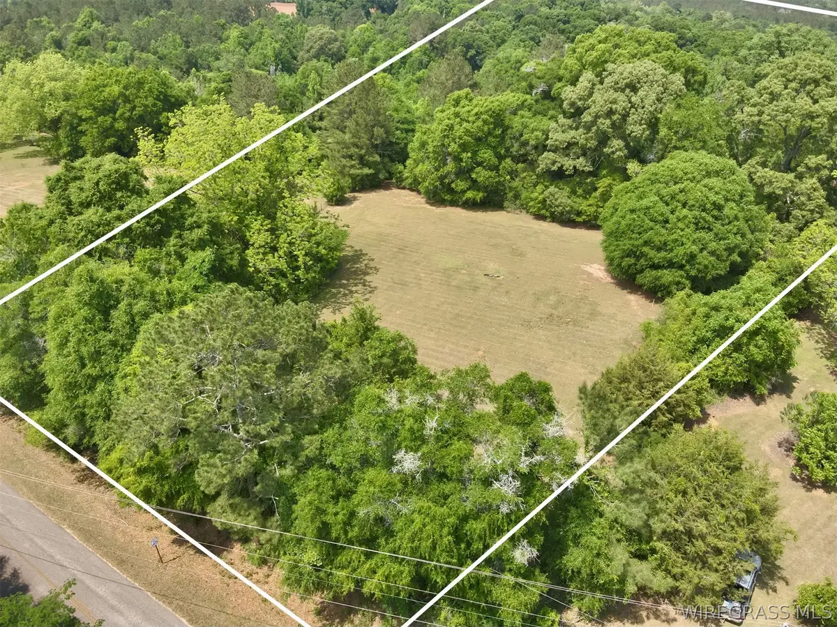 7+/-Acres County Road 40, Chancellor, AL 36316 - #1