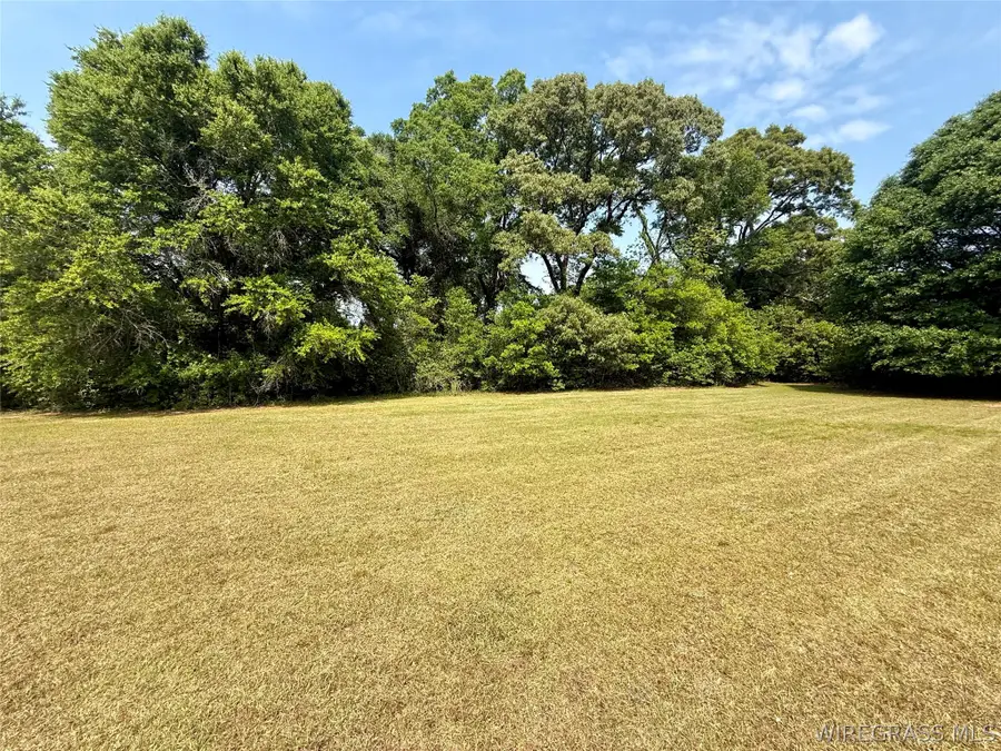 7+/-Acres County Road 40, Chancellor, AL 36316 - #2