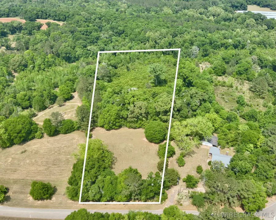 7+/-Acres County Road 40, Chancellor, AL 36316 - #3