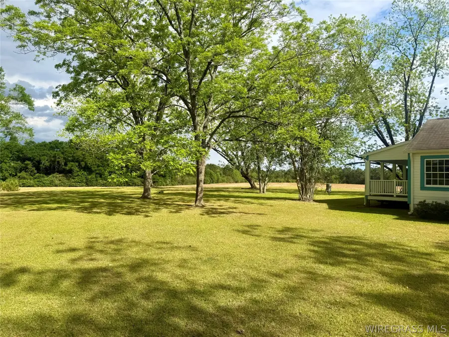 1046 Antioch Circle, Hartford, AL 36344 - #3