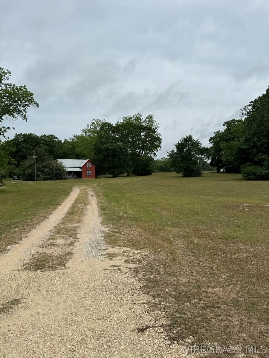28873 Straughn School Road, Andalusia, AL 36421 - #3