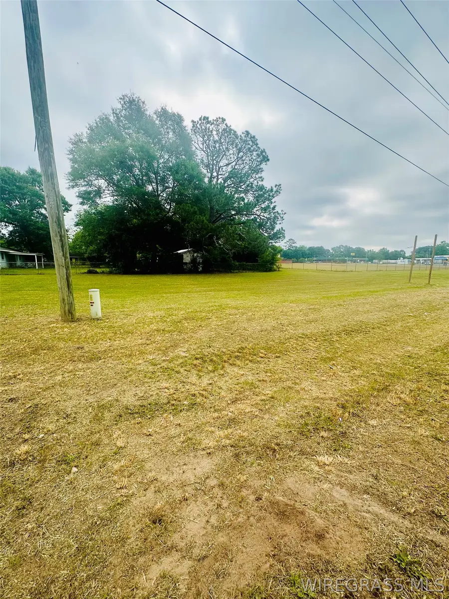 000 Highway 167 S, Hartford, AL 36344 - #2