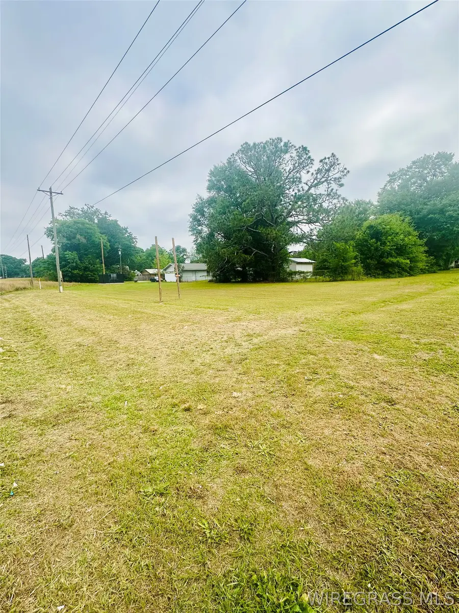000 Highway 167 S, Hartford, AL 36344 - #3