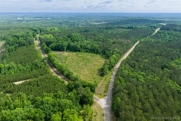 0 County Road 307, Glenwood, AL 36034