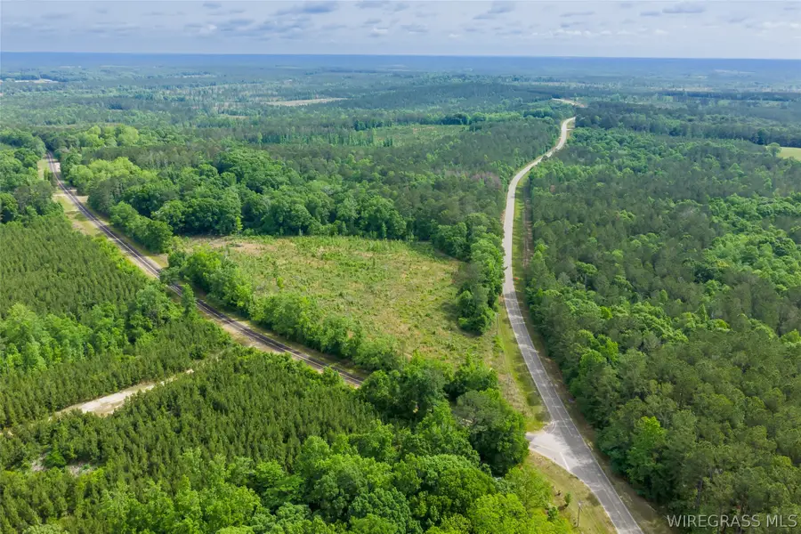 0 County Road 307, Glenwood, AL 36034 - #2
