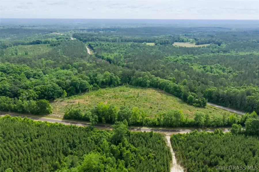 0 County Road 307, Glenwood, AL 36034 - #3