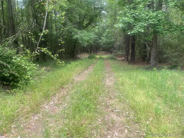 00 Bruno Road, Dozier, AL 36028