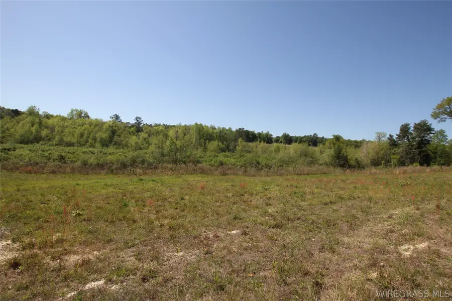 2500 Dean Church Road, Ozark, AL 36360 - #2