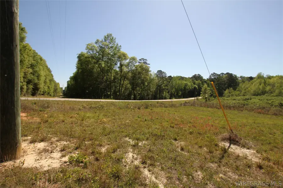 2500 Dean Church Road, Ozark, AL 36360 - #3