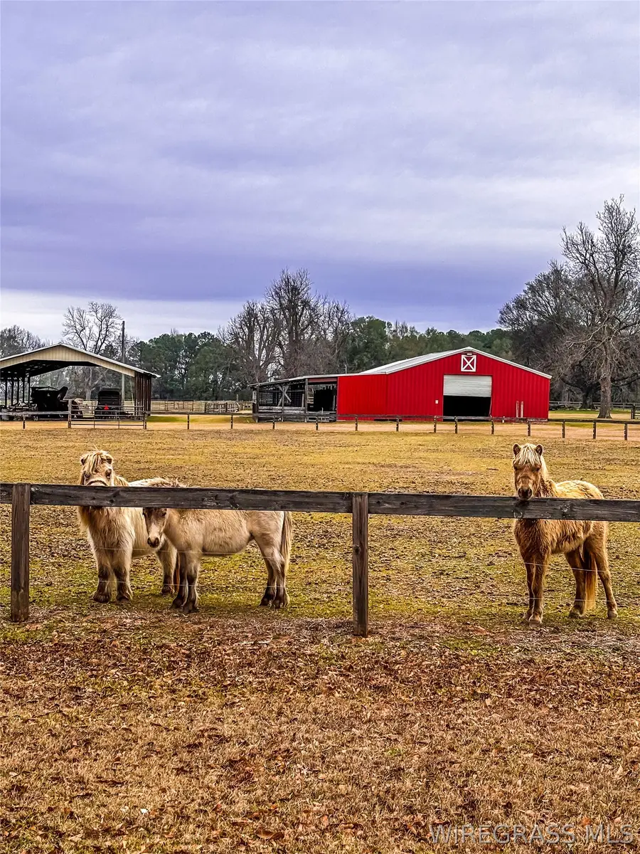 8971 State Highway 10 E, Shorterville, AL 36373 - #2