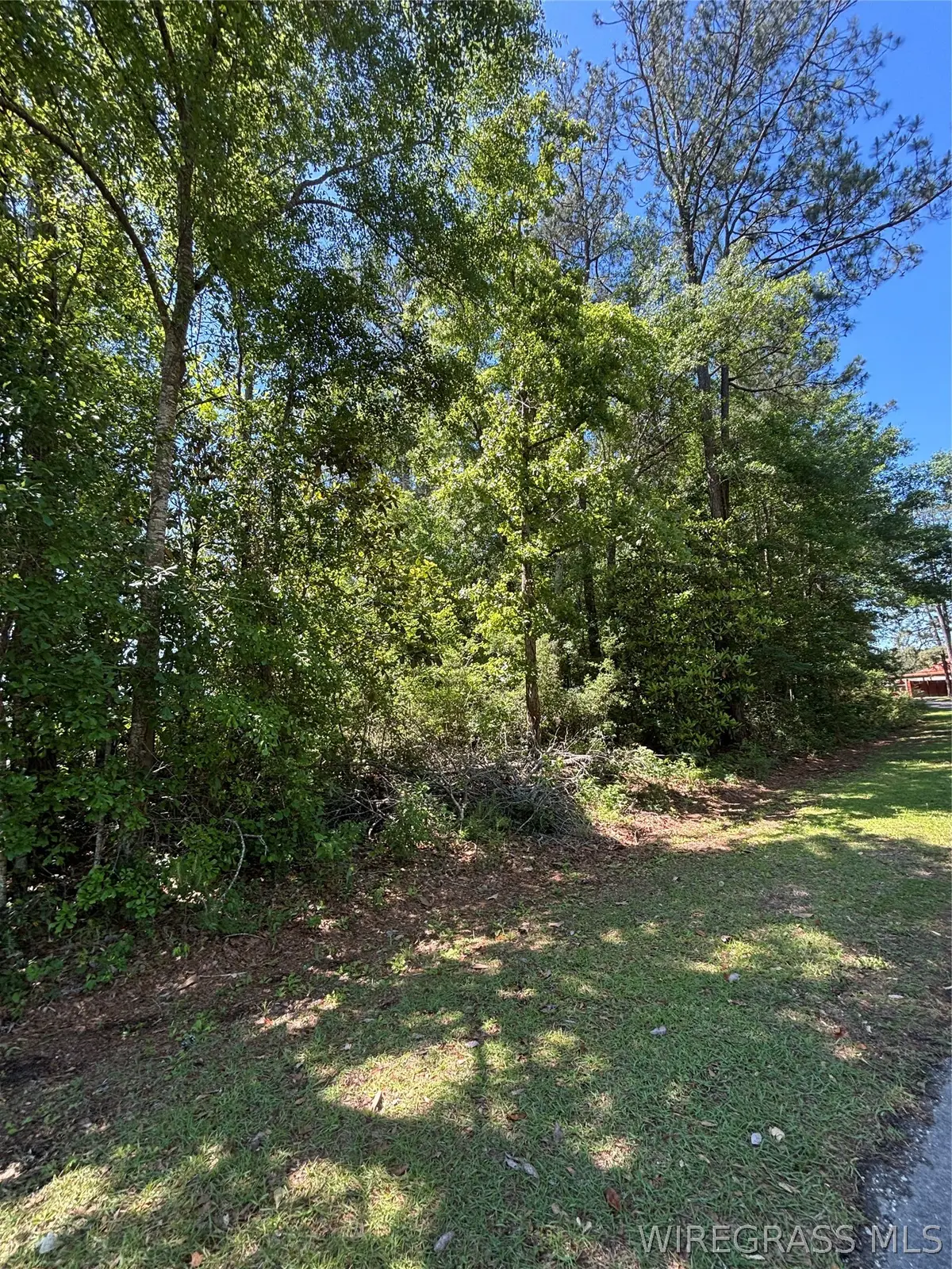 00 Canoe Road, Andalusia, AL 36421 - #1
