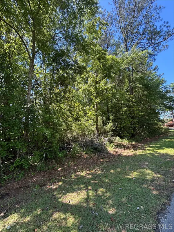 00 Canoe Road, Andalusia, AL 36421