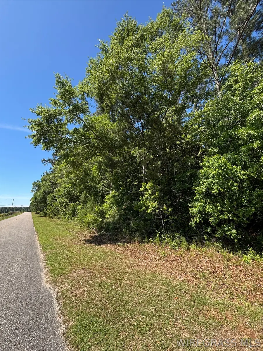 00 Canoe Road, Andalusia, AL 36421 - #2