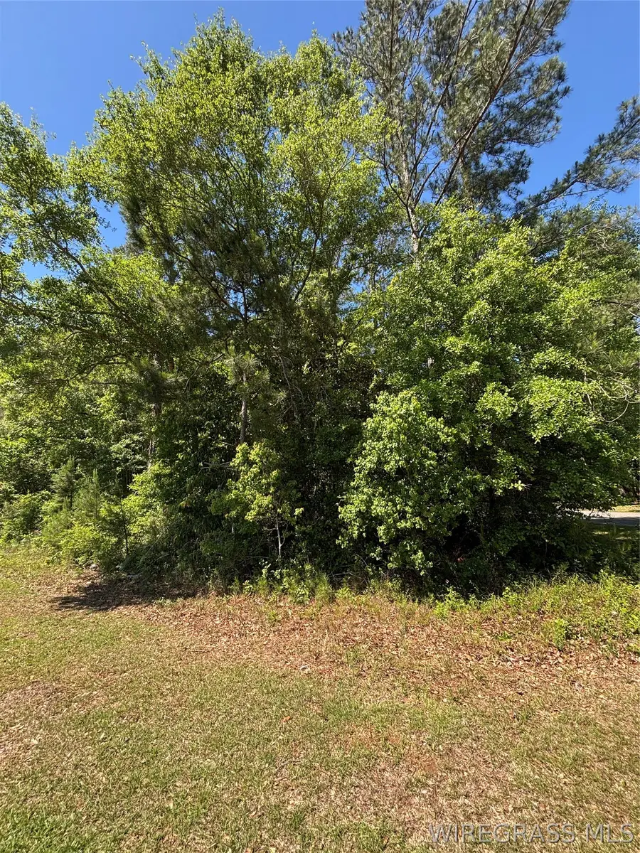 00 Canoe Road, Andalusia, AL 36421 - #3