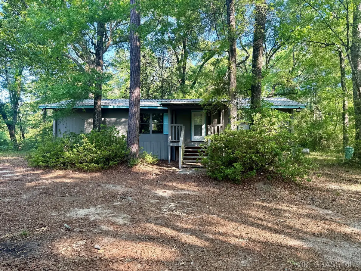 236 Leisure Drive, Hartford, AL 36344 - #1