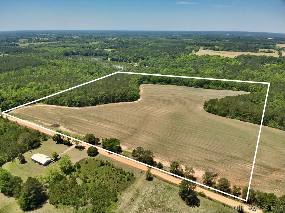 32.74 Acres County Road 734, Chancellor, AL 36316 - #1
