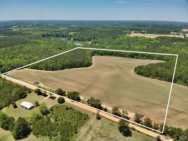 32.74 Acres County Road 734, Chancellor, AL 36316
