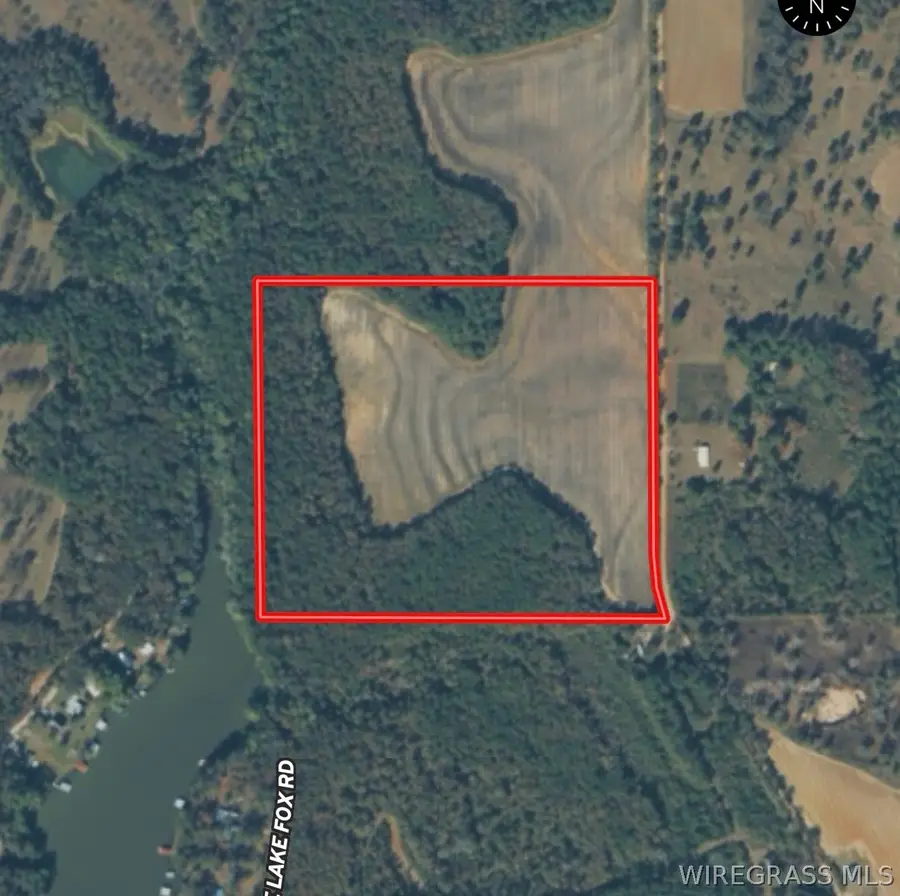 32.74 Acres County Road 734, Chancellor, AL 36316 - #2