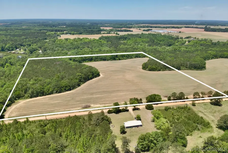 32.74 Acres County Road 734, Chancellor, AL 36316 - #3