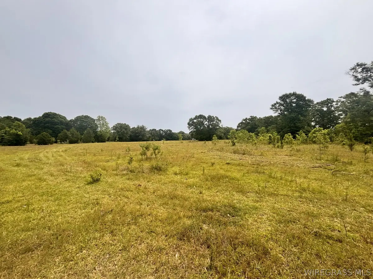 0 Highway 153 Highway, Samson, AL 36477 - #1