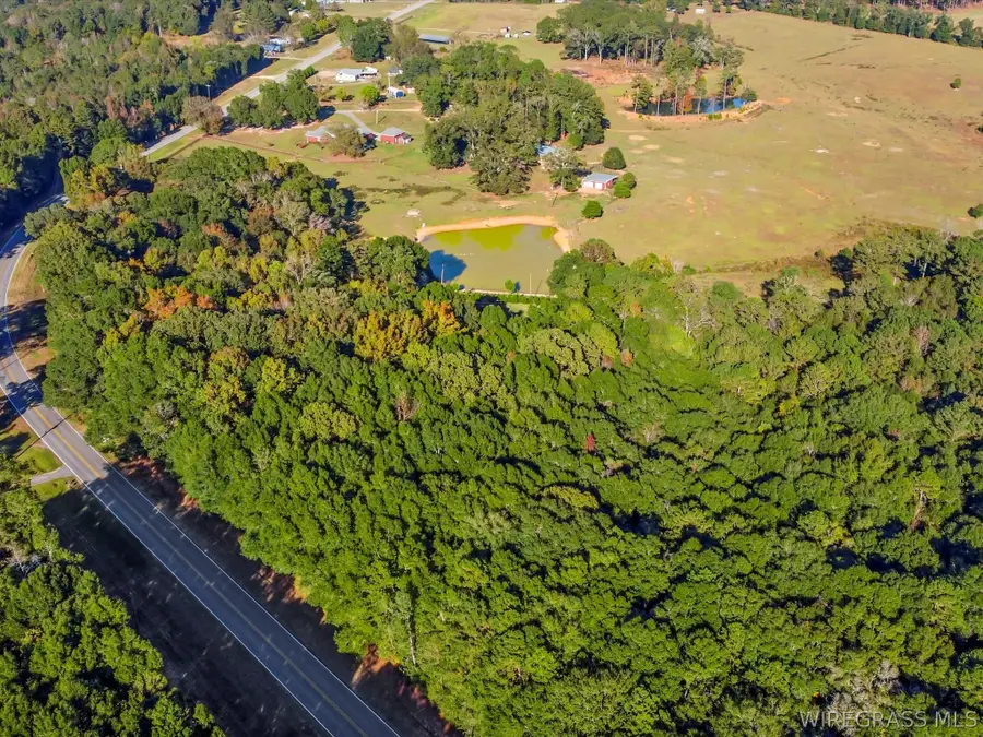 14622 Highway 51, Ariton, AL 36311 - #3