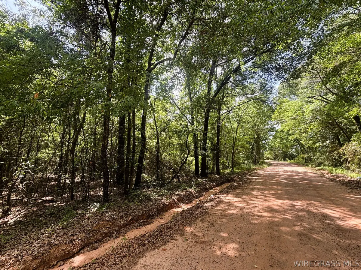 0 County Road 534, New Brockton, AL 36351 - #1