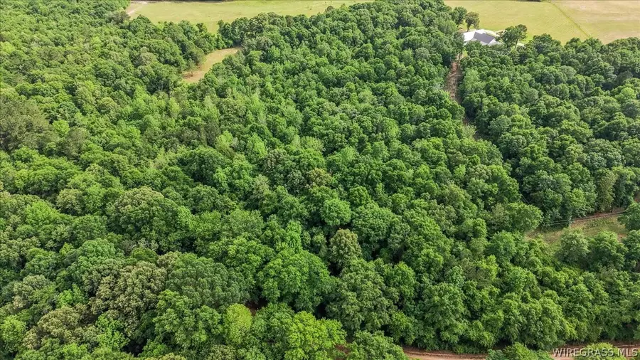 0 County Road 534, New Brockton, AL 36351 - #3