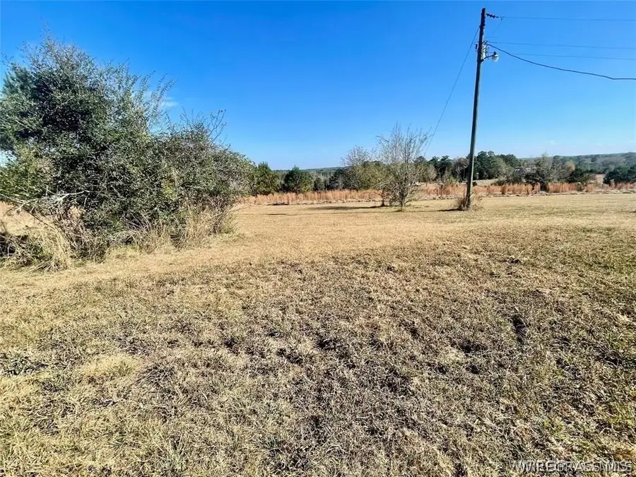 28842 Highway 167, Jack, AL 36346 - #3