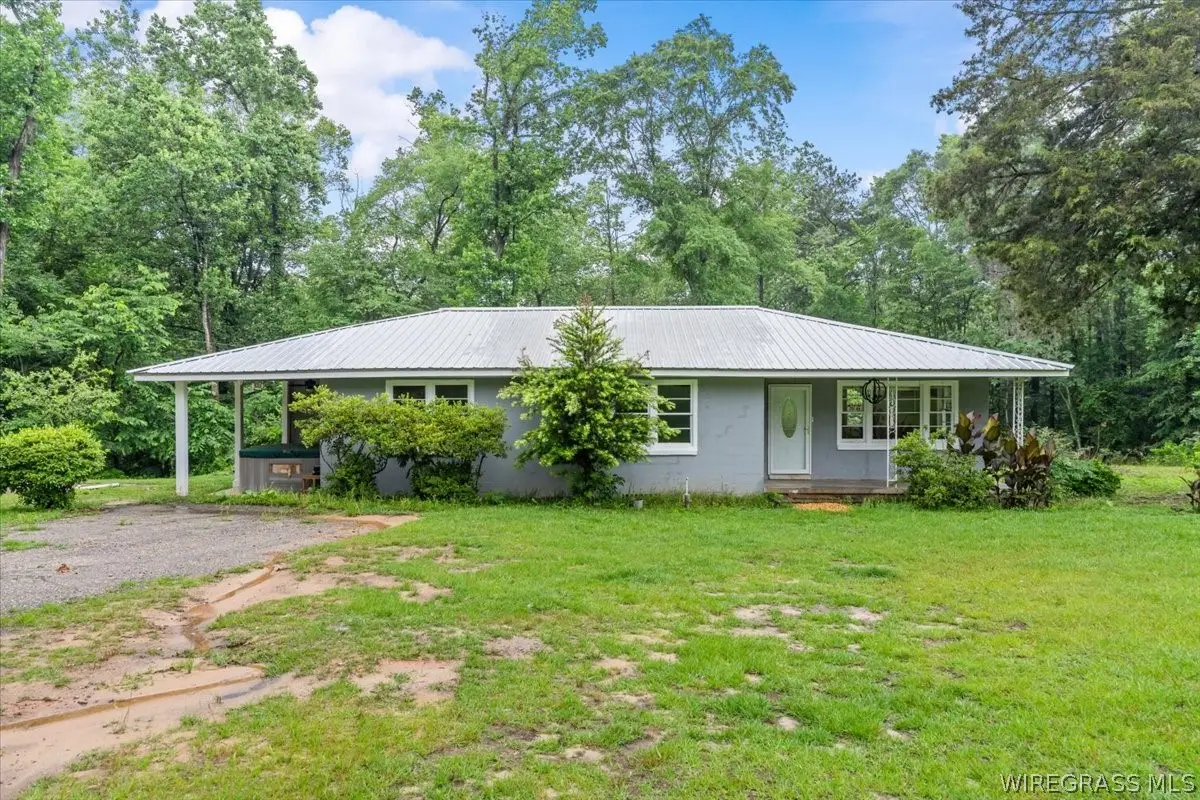 2116 Andrews Avenue, Ozark, AL 36360 - #1