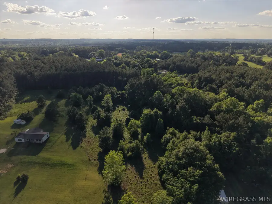 000 Highway 105 Highway, Ozark, AL 36360 - #2