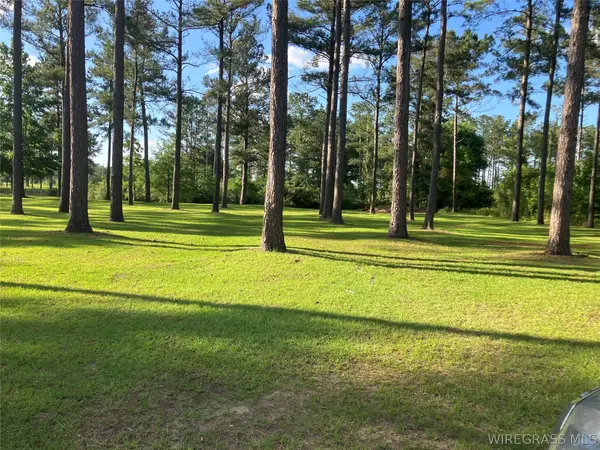0 Bush Isle Road, Andalusia, AL 36421